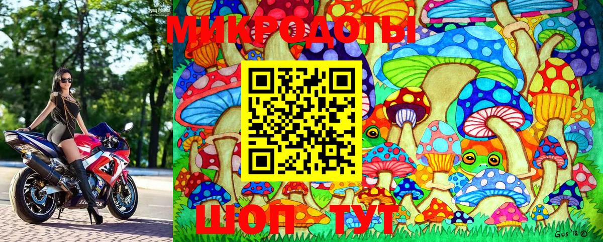 Галлюциногенные грибы Psilocybe Кстово