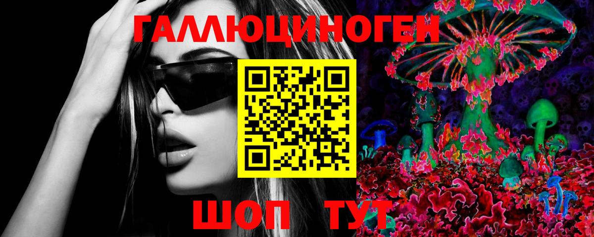 Кстово  Галлюциногенные грибы Psilocybine cubensis  Вход с VPN 